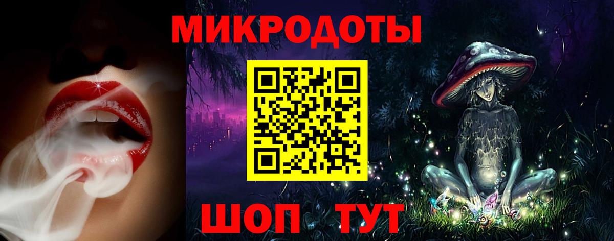 Галлюциногенные грибы Psilocybine cubensis Железноводск