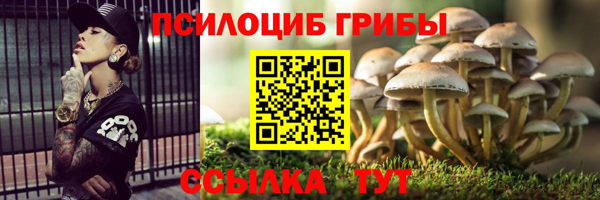 Псилоцибиновые грибы Magic Shrooms  сколько стоит  Железноводск  Вход с VPN 